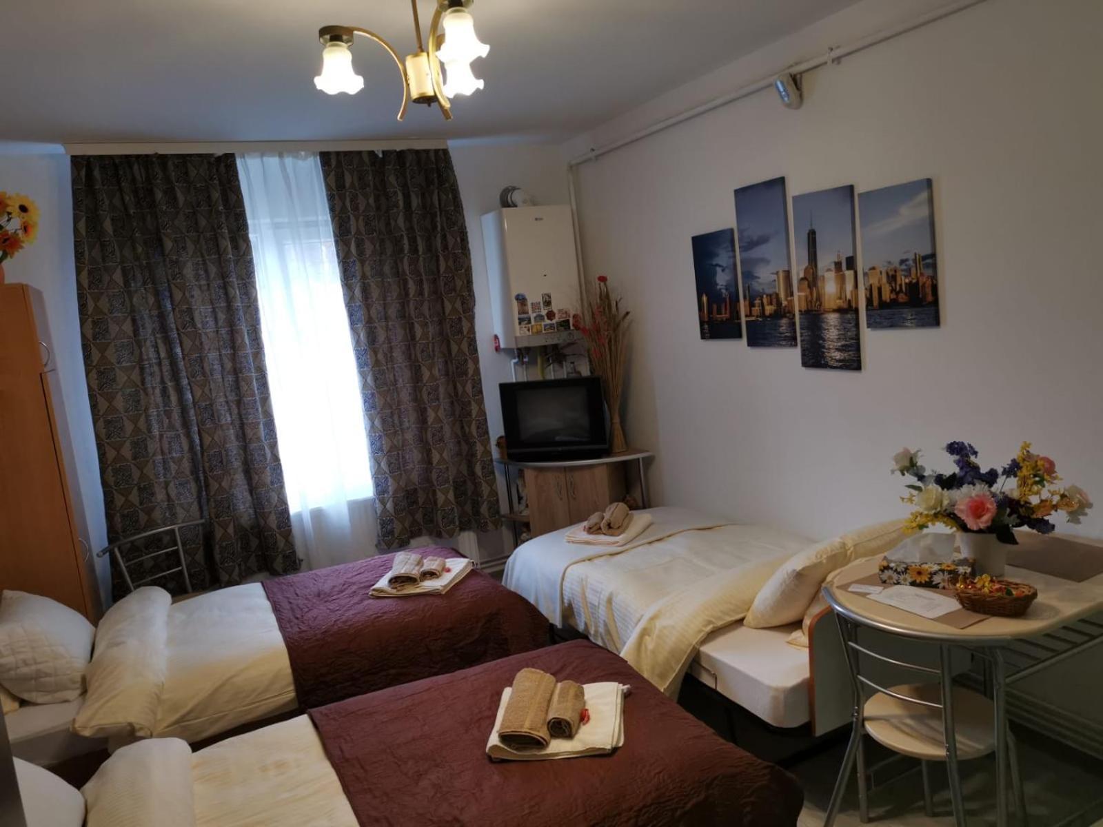 Central Studio Hunedoara Ngoại thất bức ảnh